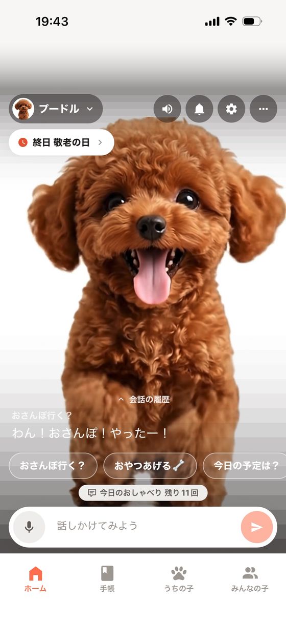 The Pet-Talk home screen: your buddy fills the screen, replies appear as subtitles, and one-tap questions line the bottom